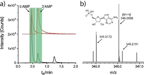 Selective Phosphorylation of RNA- and DNA-Nucleosides under Prebiotically Plausible Conditions