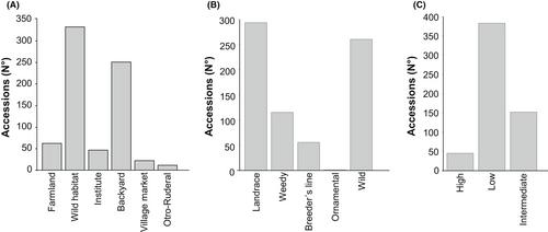 Assessment of the Current State of In Situ Conservation and Use of Sweet Potato (Ipomoea batatas L.) in Colombia