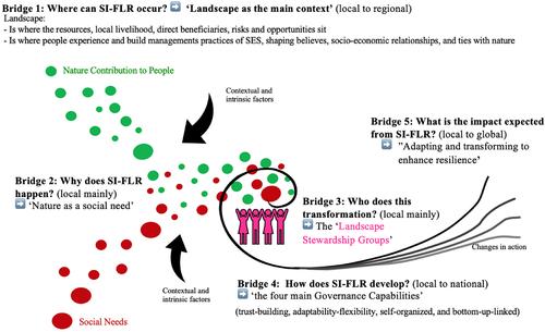 Bridging Social Innovation with Forest and Landscape Restoration