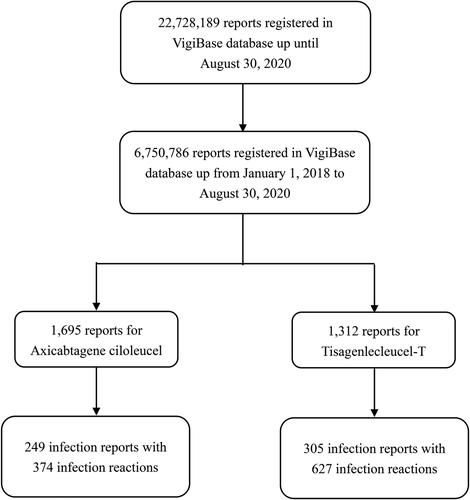 Infections in hematologic malignancy patients treated by CD19 chimeric antigen receptor T-cell therapy