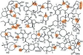 Brief overview of recently reported misassigned natural products and their in silico revisions enabled by DU8ML, a machine learning-augmented DFT computational NMR method