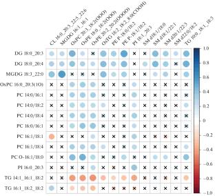 Lipidomic Markers of Tumor Progress in Breast Cancer Patients