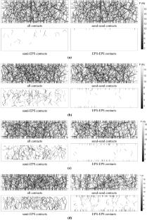 DEM model calibration and contact force network analysis of sand-EPS (rigid-soft) granular system subjected to one-dimensional compression