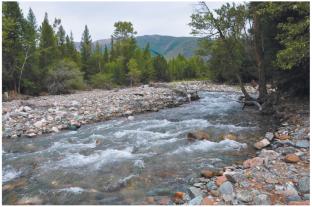 Young Landforms Created by Earthquakes in the Foothills of the Kurai Range (Gorny Altai)