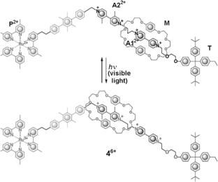 Brownian Photomotors Based on Organic Compounds: A Review