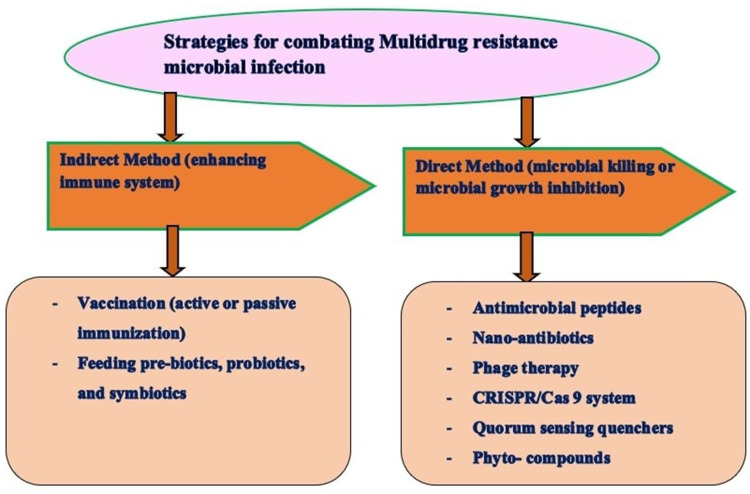 Multidrug-Resistant Microbial Therapy Using Antimicrobial Peptides and the CRISPR/Cas9 System.