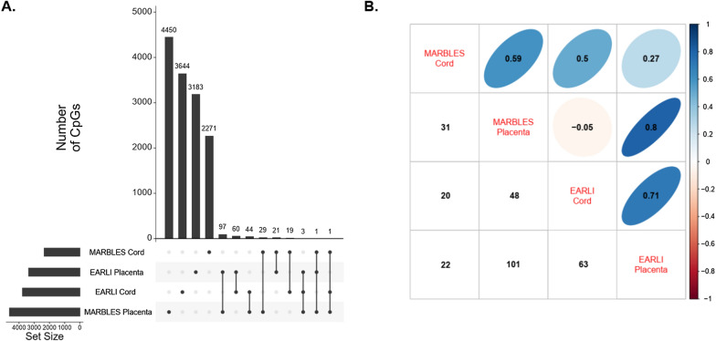 Prenatal vitamin intake in first month of pregnancy and DNA methylation in cord blood and placenta in two prospective cohorts.