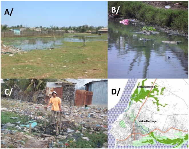 Risk factors for intestinal parasite portage in an informal suburb on the West coast of Madagascar