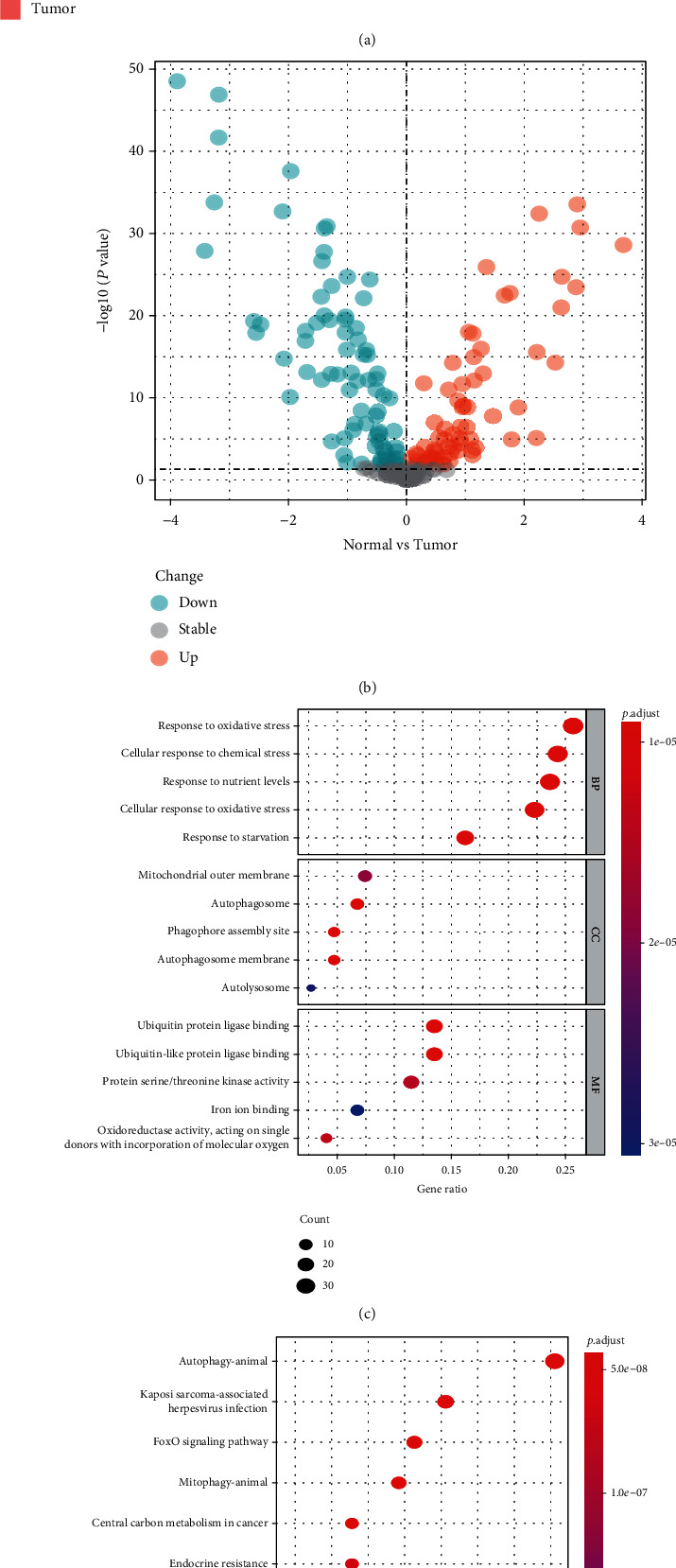 A Novel Ferroptosis-Related Gene Signature for Prognosis Prediction in Ewing Sarcoma.