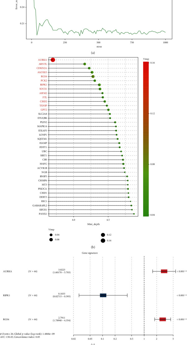 A Novel Ferroptosis-Related Gene Signature for Prognosis Prediction in Ewing Sarcoma.