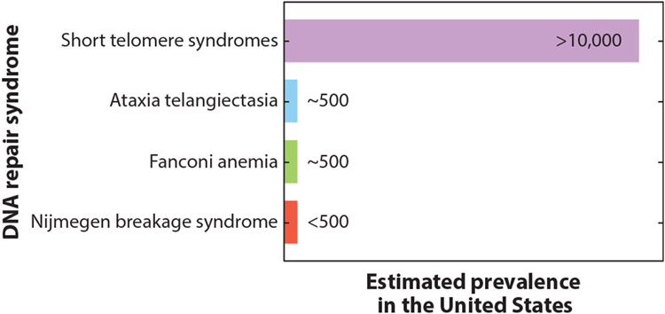 The Role of Telomeres in Human Disease.