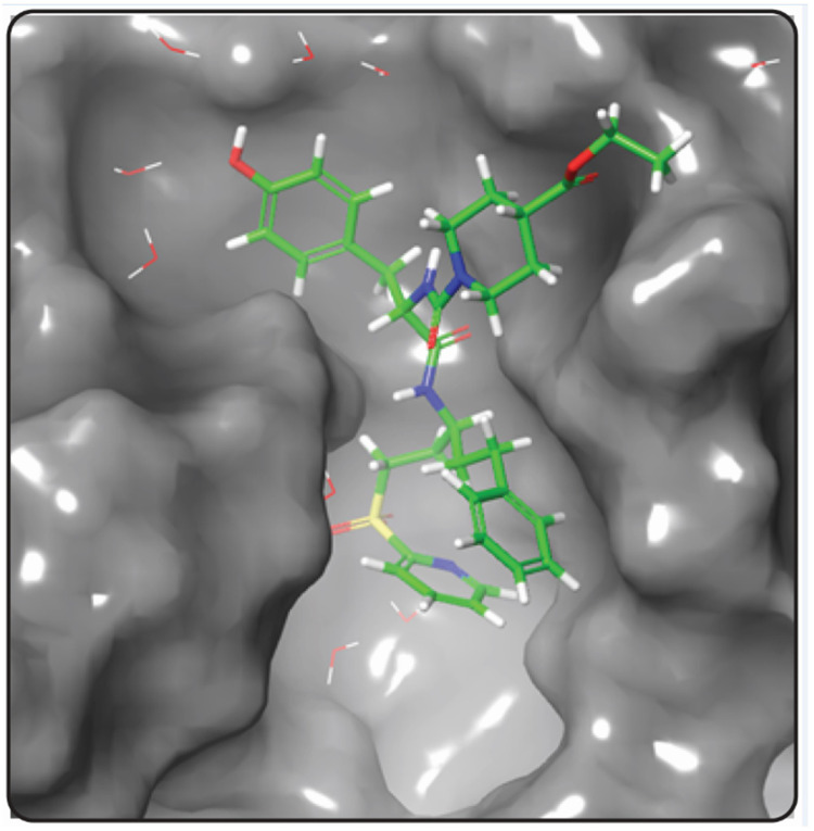 De Novo Design of Cathepsin B1 Inhibitors as Potential Anti-Schistosomal Agents Using Computational Studies.