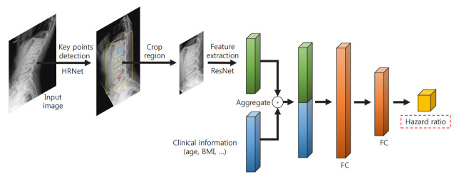 Development of a Spine X-Ray-Based Fracture Prediction Model Using a Deep Learning Algorithm.