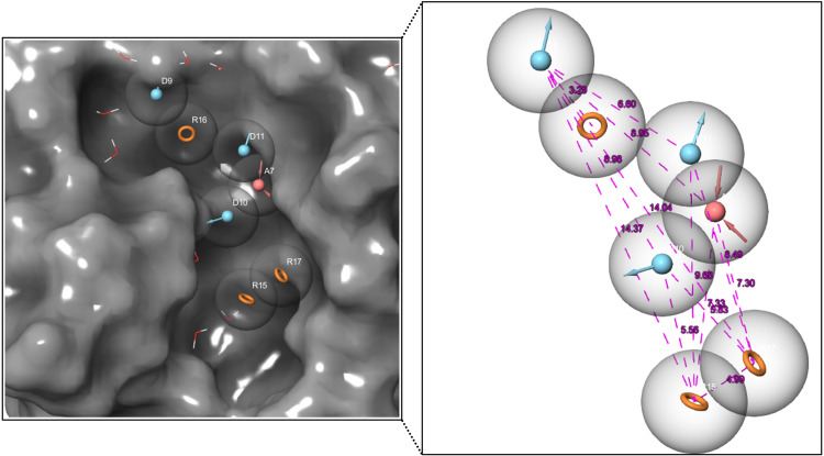 De Novo Design of Cathepsin B1 Inhibitors as Potential Anti-Schistosomal Agents Using Computational Studies.