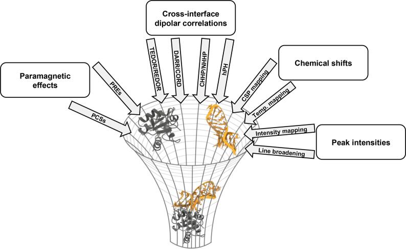 Nucleic acid–protein interfaces studied by MAS solid-state NMR spectroscopy