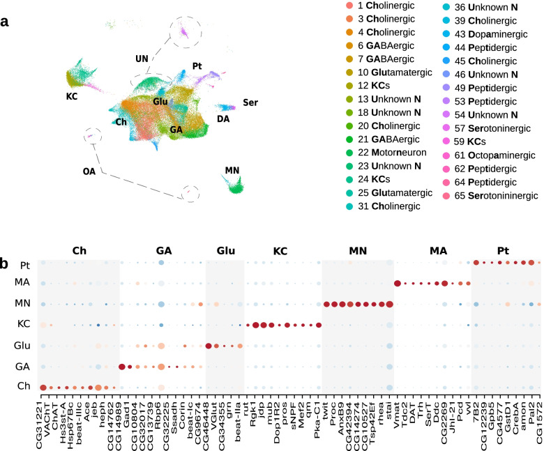 A single-cell transcriptomic atlas of complete insect nervous systems across multiple life stages.