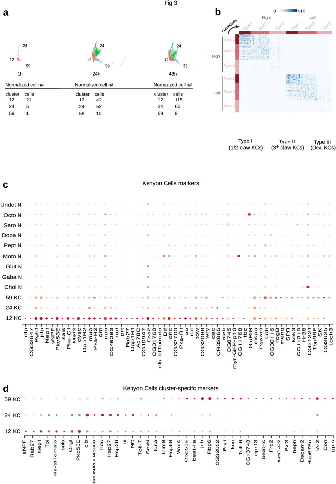 A single-cell transcriptomic atlas of complete insect nervous systems across multiple life stages.