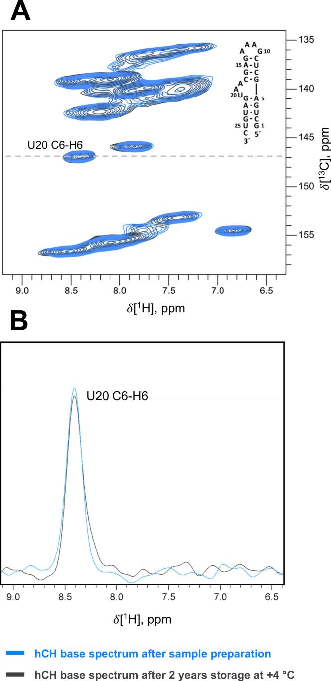 Nucleic acid–protein interfaces studied by MAS solid-state NMR spectroscopy