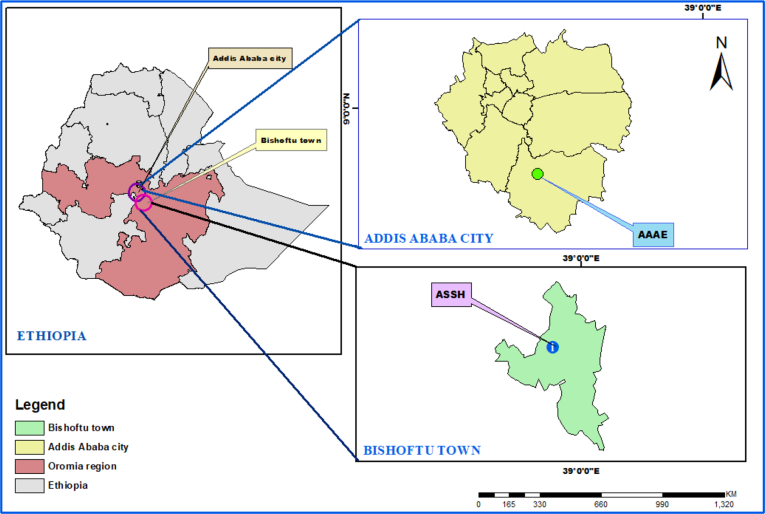 Fasciolosis in sheep and goats slaughtered at abattoirs in Central Ethiopia and associated financial losses