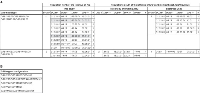 Dynamic evolution of Mhc haplotypes in cynomolgus macaques of different geographic origins.