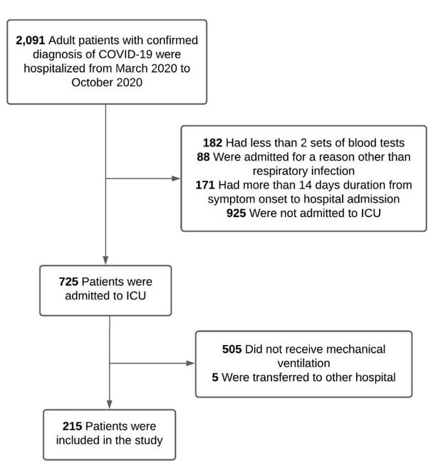 Characteristics and Risk Factors for Mortality in Critically Ill Patients with COVID-19 Receiving Invasive Mechanical Ventilation: The Experience of a Private Network in Sao Paulo, Brazil.