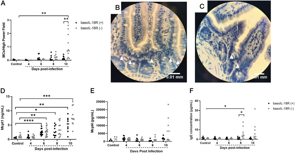 The Basophil IL-18 Receptor Precisely Regulates the Host Immune Response and Malaria-Induced Intestinal Permeability and Alters Parasite Transmission to Mosquitoes without Effect on Gametocytemia.