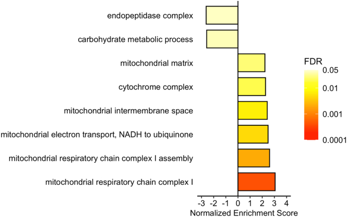 Proteomic analysis of temperature-dependent developmental plasticity within the ventricle of juvenile Atlantic salmon (Salmo salar)