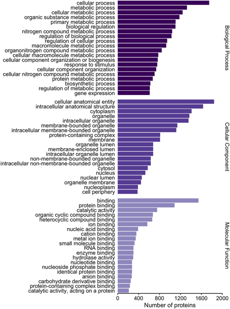 Proteomic analysis of temperature-dependent developmental plasticity within the ventricle of juvenile Atlantic salmon (Salmo salar)