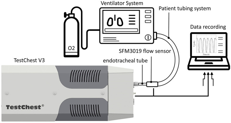 Testing of pandemic ventilators under early and agile development.