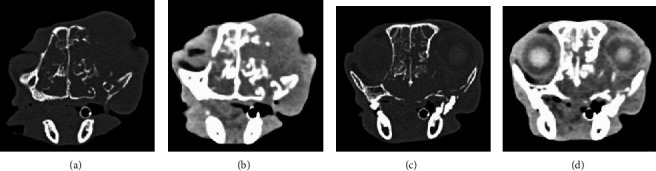 The Role of Targeted Osmotic Lysis in the Treatment of Advanced Carcinoma in Companion Animals: A Case Series.