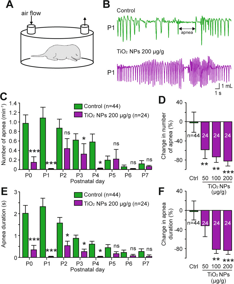 Chronic maternal exposure to titanium dioxide nanoparticles alters breathing in newborn offspring.