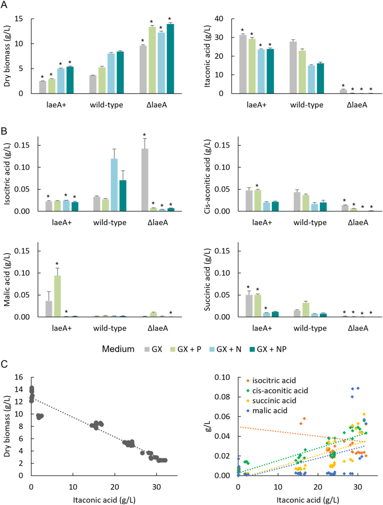 Itaconic acid production is regulated by LaeA in Aspergillus pseudoterreus