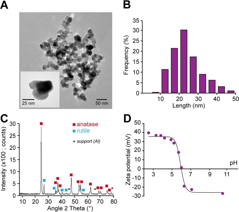 Chronic maternal exposure to titanium dioxide nanoparticles alters breathing in newborn offspring.