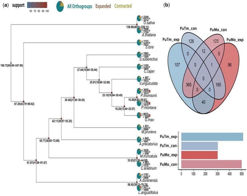 Chromosome-level and graphic genomes provide insights into metabolism of bioactive metabolites and cold-adaption of Pueraria lobata var. montana.