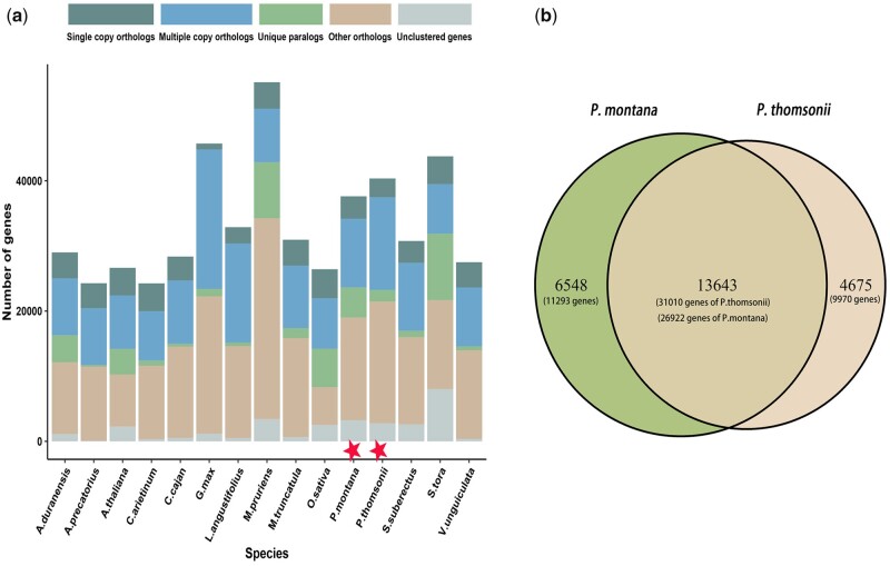 Chromosome-level and graphic genomes provide insights into metabolism of bioactive metabolites and cold-adaption of Pueraria lobata var. montana.