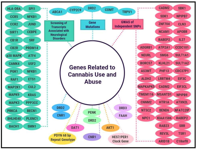 Neurogenetic and Epigenetic Aspects of Cannabinoids.