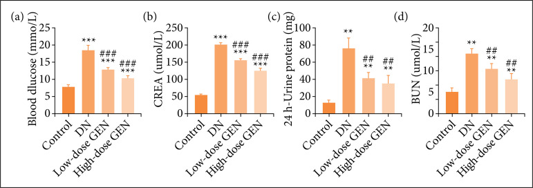 Genistein improves mitochondrial function and inflammatory in rats with diabetic nephropathy via inhibiting MAPK/NF-κB pathway.