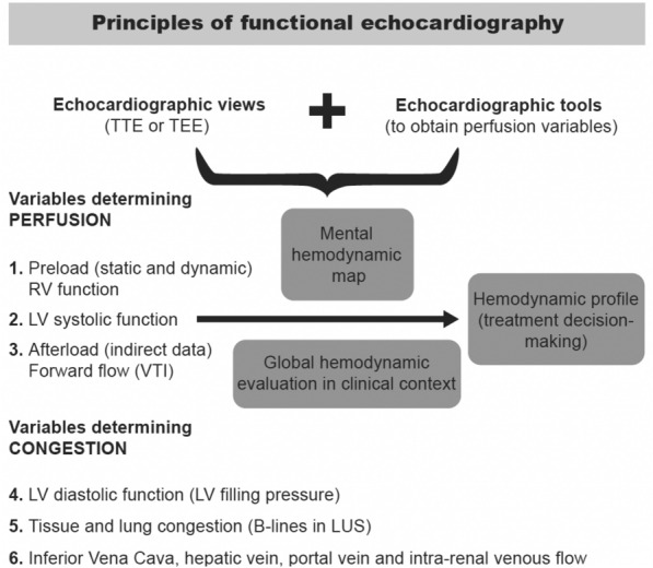 A simple algorithm for differential diagnosis in hemodynamic shock based on left ventricle outflow tract velocity-time integral measurement: a case series.