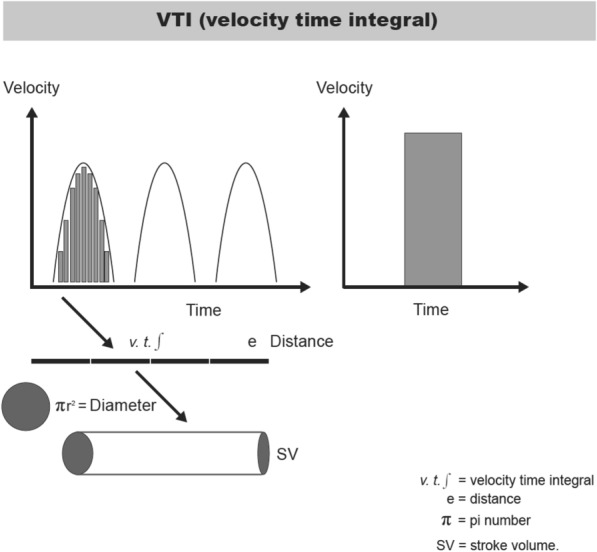 A simple algorithm for differential diagnosis in hemodynamic shock based on left ventricle outflow tract velocity-time integral measurement: a case series.