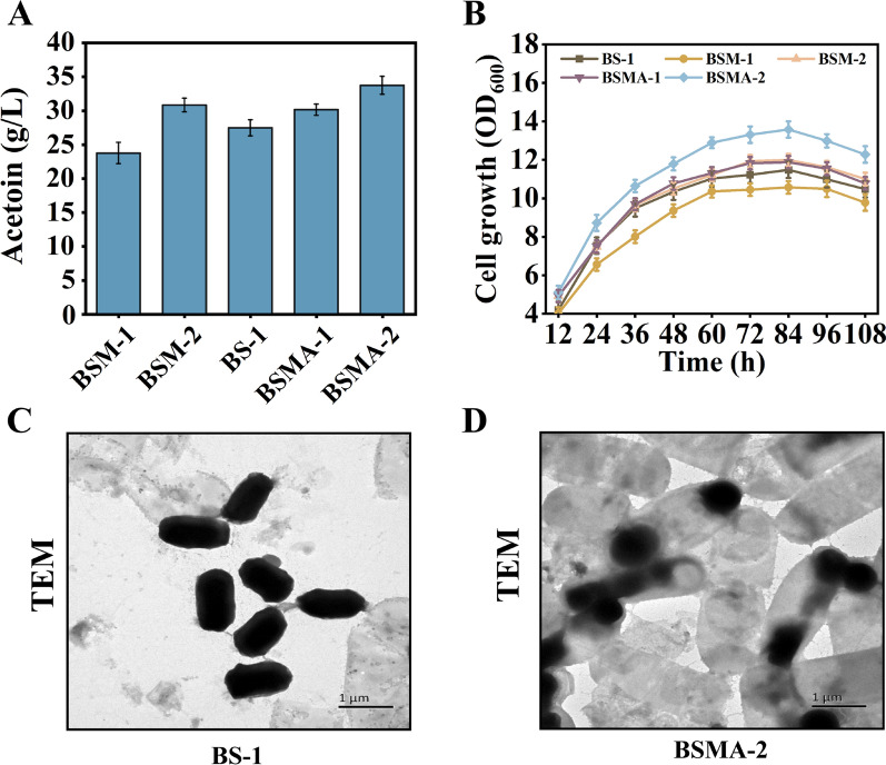 Acetoin production from lignocellulosic biomass hydrolysates with a modular metabolic engineering system in Bacillus subtilis.