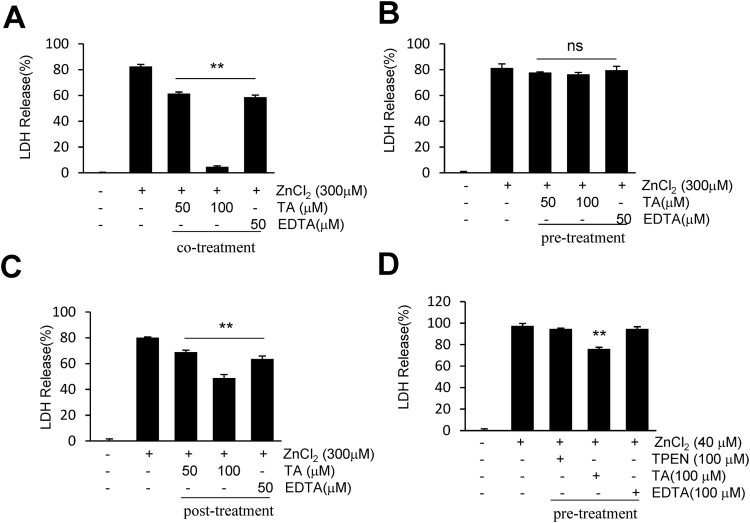 Neuroprotective effects of tannic acid in the postischemic brain via direct chelation of Zn<sup>2</sup>.