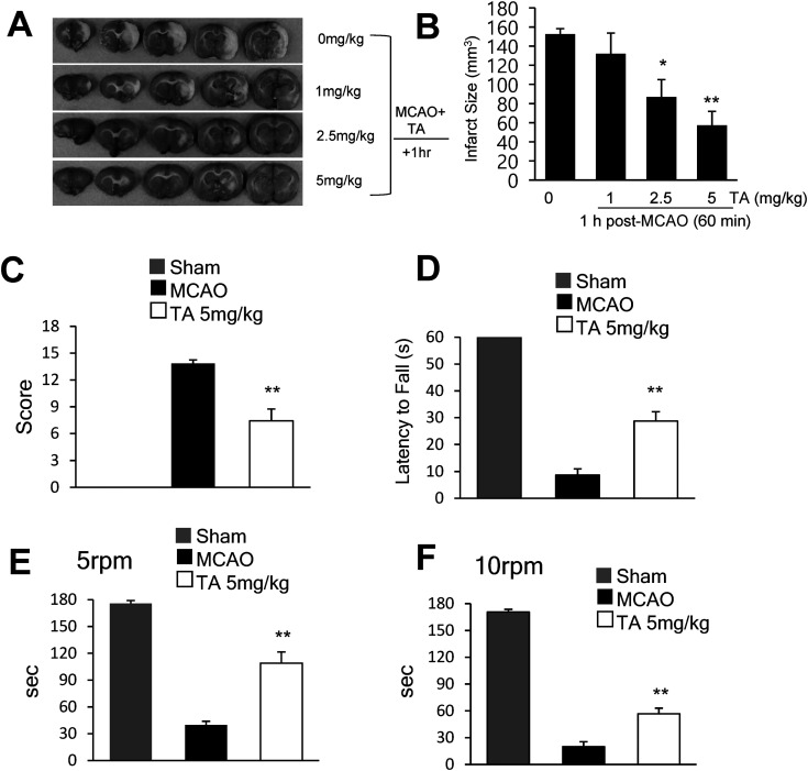 Neuroprotective effects of tannic acid in the postischemic brain via direct chelation of Zn<sup>2</sup>.