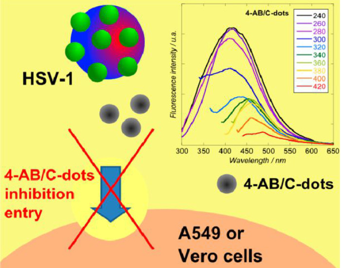 Progress on Applying Carbon Dots for Inhibition of RNA Virus Infection.