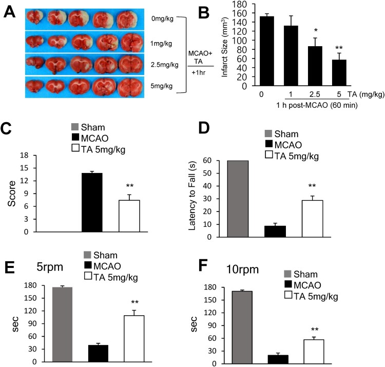 Neuroprotective effects of tannic acid in the postischemic brain via direct chelation of Zn<sup>2</sup>.