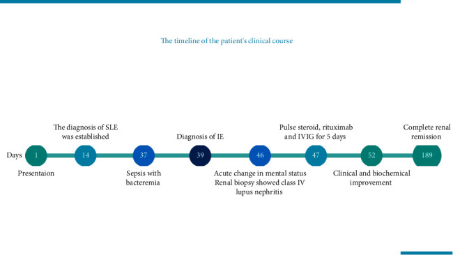 Neuropsychiatric Lupus and Lupus Nephritis Successfully Treated with Combined IVIG and Rituximab: An Alternative to Standard of Care.