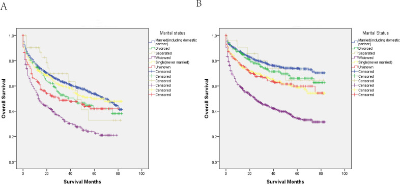A model established using marital status and other factors from the Surveillance, Epidemiology, and End Results database for early stage gastric cancer.