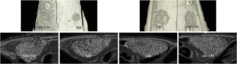 Effect of the size of the bony access window and the collagen barrier over the window in sinus floor elevation: a preclinical investigation in a rabbit sinus model.
