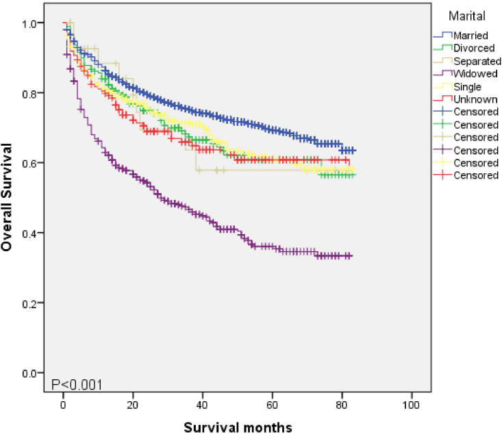 A model established using marital status and other factors from the Surveillance, Epidemiology, and End Results database for early stage gastric cancer.