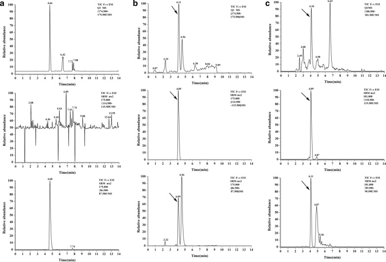 Metabolic engineering of Escherichia coli for direct production of vitamin C from D-glucose.