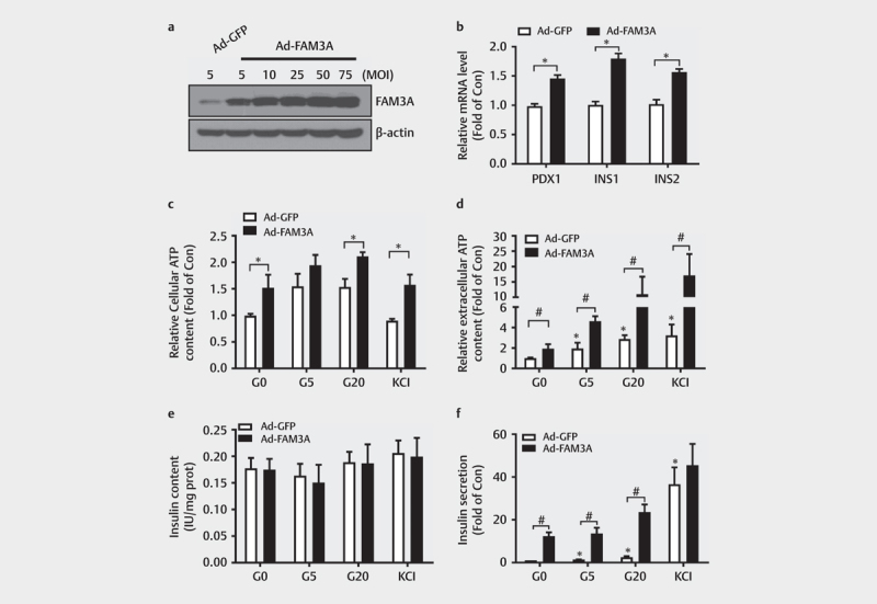 Intracellular ATP Signaling Contributes to FAM3A-Induced PDX1 Upregulation in Pancreatic Beta Cells.